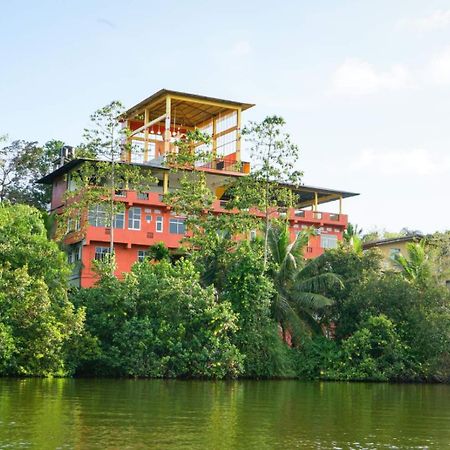 Madu River Edge Otel Balapitiya Dış mekan fotoğraf